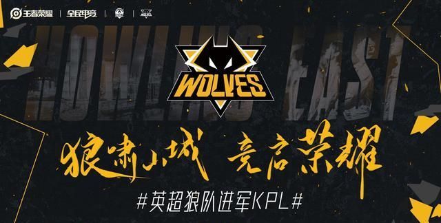 项愿意付